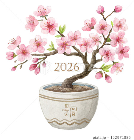flower vase elegant Japanese minimal watercolor style 2026 132971886
