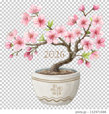 flower vase elegant Japanese minimal watercolor style 2026 132971886