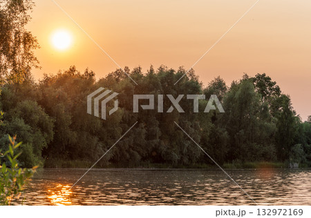 Lake with pine and birch forest on the shores at summer or early autumn sunset. 132972169