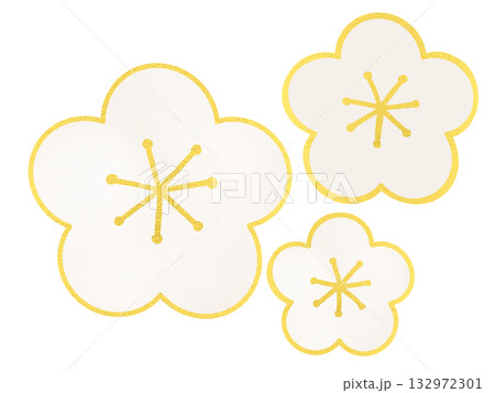 白い梅の花のイラスト・ 金縁シンプルかわいいお正月飾り素材 132972301