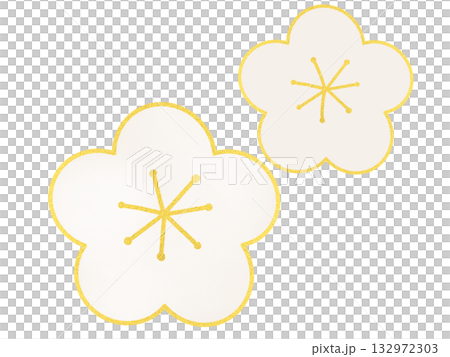 白色梅花插畫,金色邊框,簡單可愛的新年裝飾材料 白色梅花插畫,金色邊框,簡單可愛的新年裝飾材料 132972303