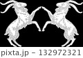 Twin goats 132972321