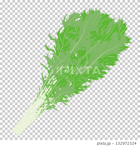 Leafy vegetables illustration material 132972324