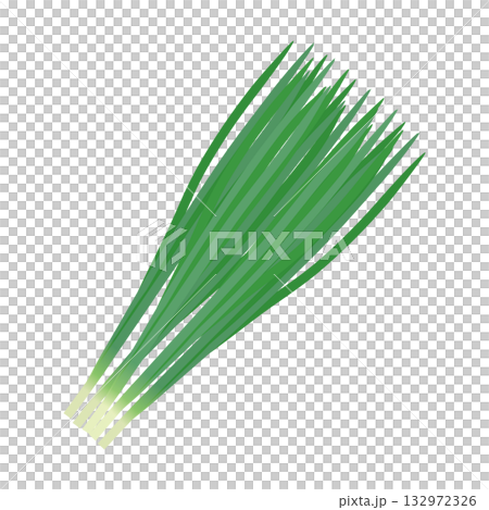 ニラ　葉物野菜のイラスト素材 132972326