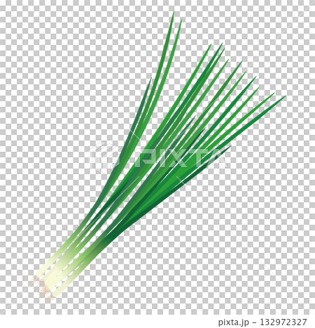 小ねぎ 葉物野菜のイラスト素材 小ねぎ 葉物野菜のイラスト素材 132972327