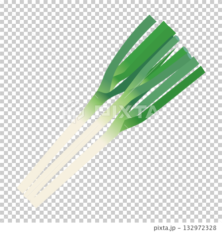 蔥葉類蔬菜插畫素材 132972328