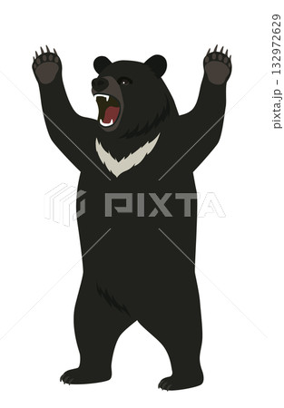 立って威嚇するツキノワグマ 132972629