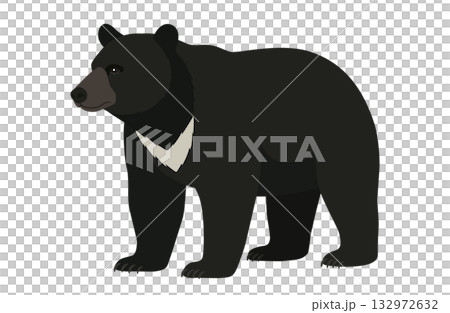 Asian black bears 132972632