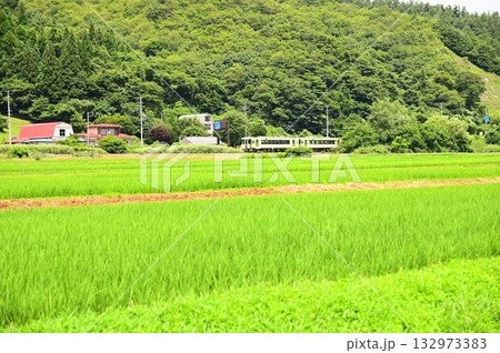 道の駅 遠野風の丘付近の水田地帯から見える釜石線 道の駅 遠野風の丘付近の水田地帯から見える釜石線 132973383