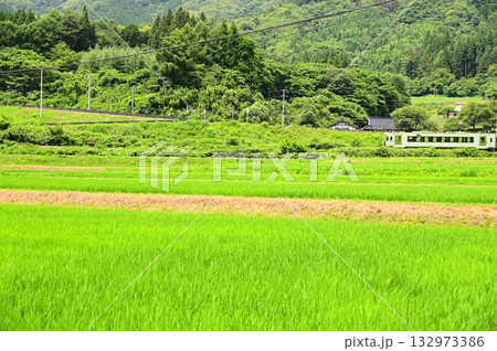 道の駅 遠野風の丘付近の水田地帯から見える釜石線 132973386