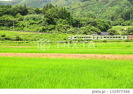 道の駅 遠野風の丘付近の水田地帯から見える釜石線 道の駅 遠野風の丘付近の水田地帯から見える釜石線 132973388