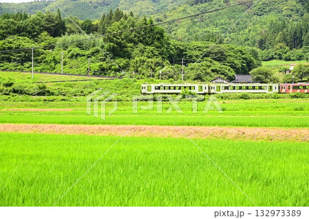 道の駅 遠野風の丘付近の水田地帯から見える釜石線 道の駅 遠野風の丘付近の水田地帯から見える釜石線 132973389