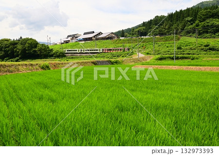 道の駅 遠野風の丘付近の水田地帯から見える釜石線 132973393