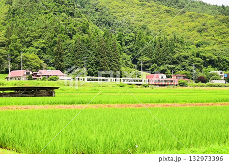 道の駅 遠野風の丘付近の水田地帯から見える釜石線 道の駅 遠野風の丘付近の水田地帯から見える釜石線 132973396