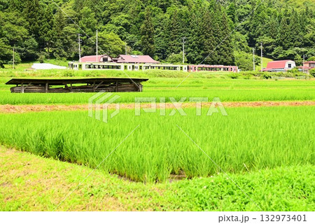 道の駅 遠野風の丘付近の水田地帯から見える釜石線 道の駅 遠野風の丘付近の水田地帯から見える釜石線 132973401