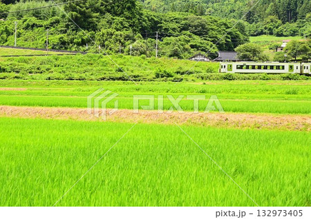 道の駅 遠野風の丘付近の水田地帯から見える釜石線 道の駅 遠野風の丘付近の水田地帯から見える釜石線 132973405