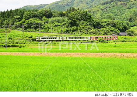 道の駅 遠野風の丘付近の水田地帯から見える釜石線 132973409