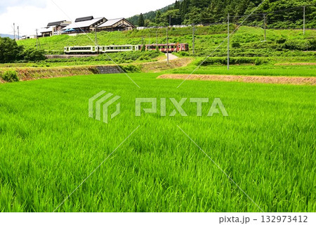道の駅 遠野風の丘付近の水田地帯から見える釜石線 道の駅 遠野風の丘付近の水田地帯から見える釜石線 132973412