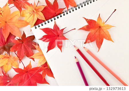 紅葉とスケッチブック – 秋の創作イメージ 紅葉とスケッチブック – 秋の創作イメージ 132973613
