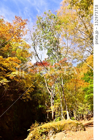 紅葉した角間渓谷の遊歩道 紅葉した角間渓谷の遊歩道 132973718