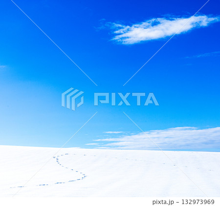 青空と雲と雪原とシンプルな冬の北海道の風景 132973969