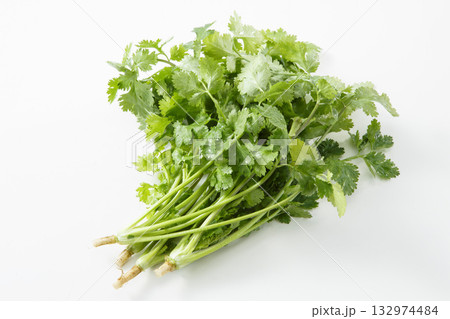 パクチー（コリアンダー） 132974484