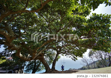 能古島アイランドパーク　芝の広場より博多湾 132974861
