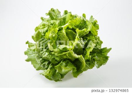 リーフレタス 132974865