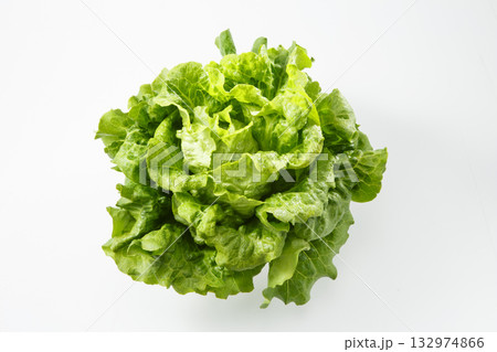 リーフレタス 132974866