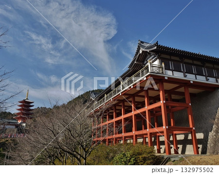 基山町　本福寺　清水の舞台のような観音堂と五重 132975502