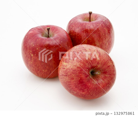 サンフジ サンフジ 132975861