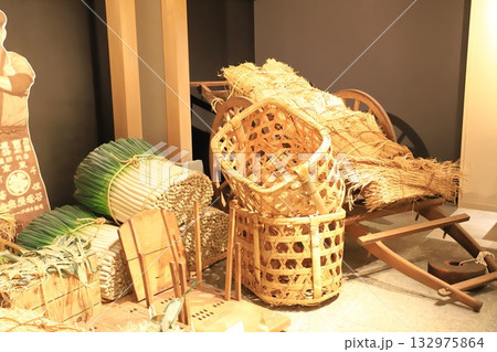 足立区立郷土博物館 足立区立郷土博物館 132975864