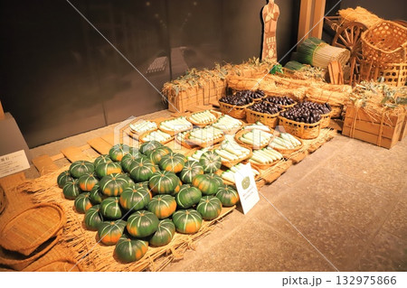 足立区立郷土博物館 足立区立郷土博物館 132975866