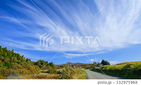 青空の下寒風山を目指して　男鹿半島　秋田県 132975968