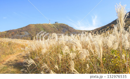 ススキ揺れる 噴火口の散策路 男鹿半島 秋田県 ススキ揺れる 噴火口の散策路 男鹿半島 秋田県 132976535