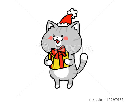 サンタの帽子をかぶった猫ちゃん 132976854