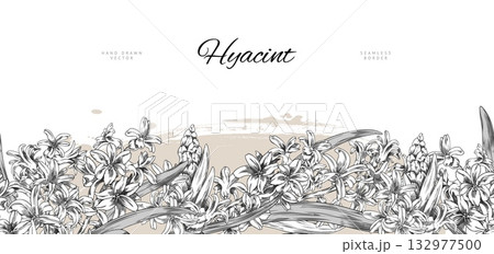 Hyacinth flowers engraved sketch vector seamless border blooming design, hand drawn spring blossom plant ink style Hyacinth flowers engraved sketch vector seamless border blooming design, hand drawn spring blossom plant ink style 132977500