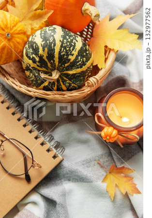 Autumn coziness creating a relaxed fall atmosphere indoors Autumn coziness creating a relaxed fall atmosphere indoors 132977562