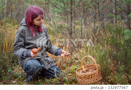 Young girl mushroom picking in autumn forest Young girl mushroom picking in autumn forest 132977567