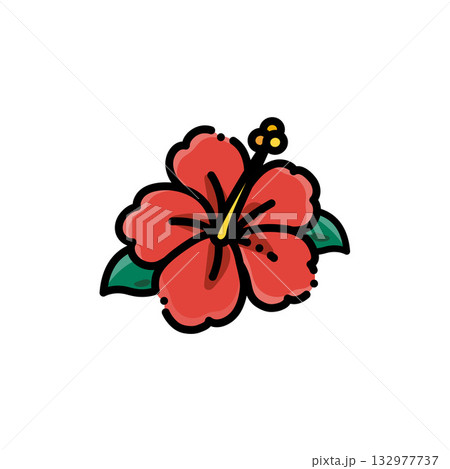 紅花 ベニバナ べにばな 132977737