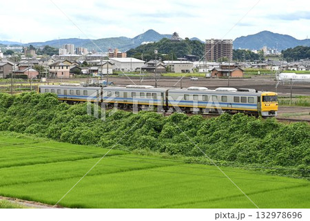 犬山城とキヤ95ドクター東海DR2編成 132978696