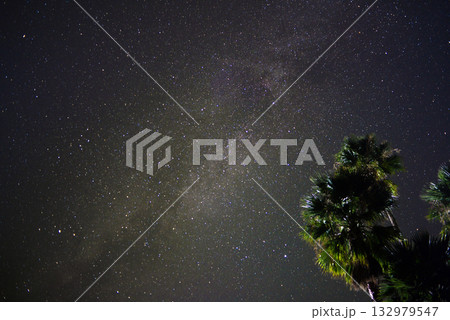 星空と椰子の木 星空と椰子の木 132979547