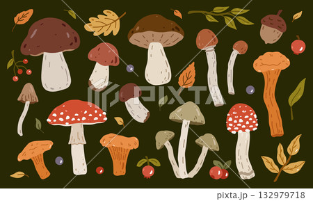 A set of different mushrooms A set of different mushrooms 132979718