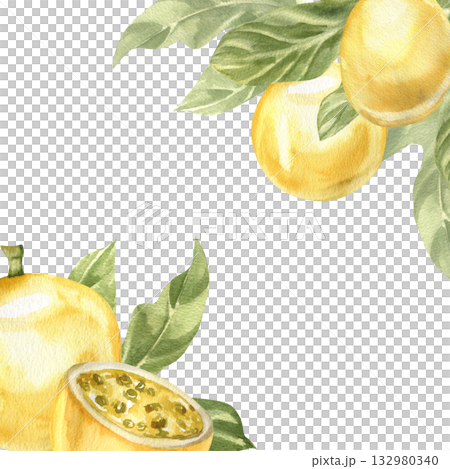 Tropical exotic passion fruit banner with plant branch and green leaves watercolor illustration. Hand drawn sweet summer juicy fruits frame, vegan food clipart for poster, card design Tropical exotic passion fruit banner with plant branch and green leaves watercolor illustration. Hand drawn sweet summer juicy fruits frame, vegan food clipart for poster, card design 132980340