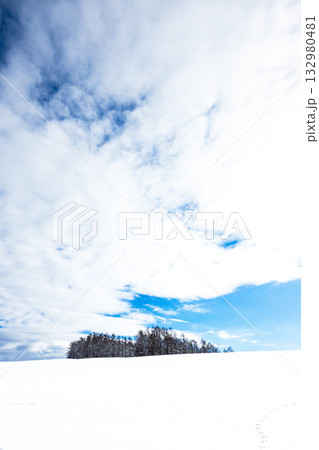 冬の青空が覗く空と雪原と木のある北海道美瑛町 132980481