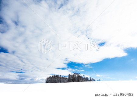冬の青空が覗く空と雪原と木のある北海道美瑛町 132980482