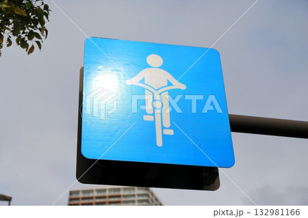 自転車専用通行帯　イメージ 132981166