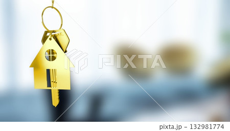 Dangling gold house-shaped keychain on circular keyring in bright interior showing inserted key Dangling gold house-shaped keychain on circular keyring in bright interior showing inserted key 132981774