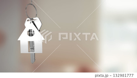 Swinging house-shaped metal keychain with dangling keys on silver key ring in entryway, copy space Swinging house-shaped metal keychain with dangling keys on silver key ring in entryway, copy space 132981777