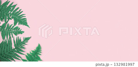 Fresh green fern leaves on light pink background banner. Natural layout. Summer or spring sale template. Minimal concept. Nature pattern. Flat lay, copy space top view. Tropical blank mockup. Frame AD Fresh green fern leaves on light pink background banner. Natural layout. Summer or spring sale template. Minimal concept. Nature pattern. Flat lay, copy space top view. Tropical blank mockup. Frame AD 132981997